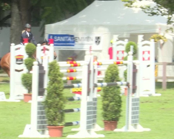 Reitturnier Langenthal 2019