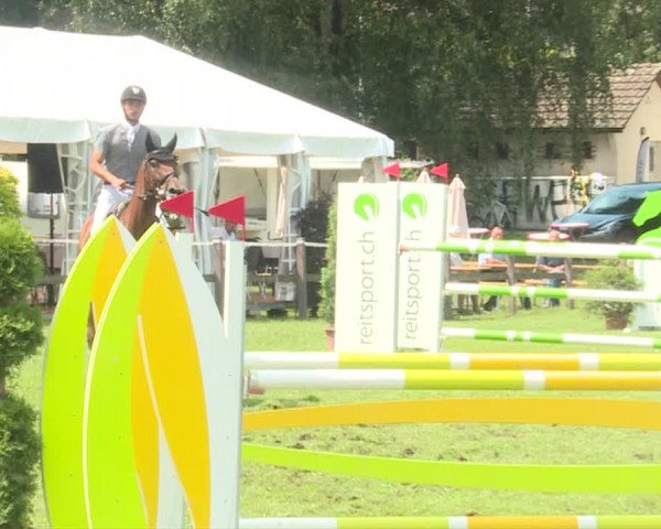 Reitturnier Langenthal 2019