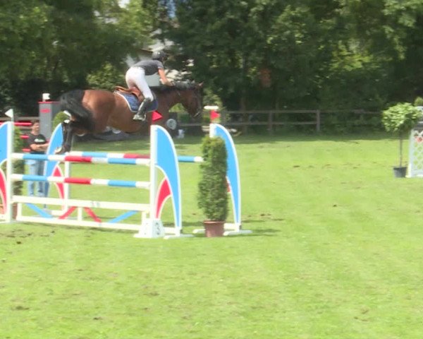 Reitturnier Langenthal 2019