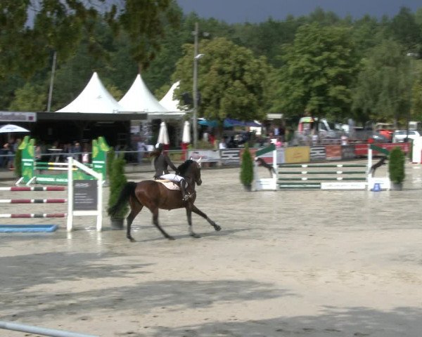 Reitturnier Olfen-Vinnum 2019