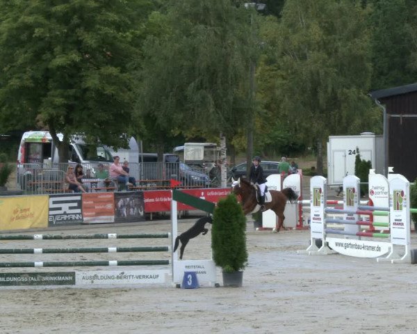 Reitturnier Olfen-Vinnum 2019