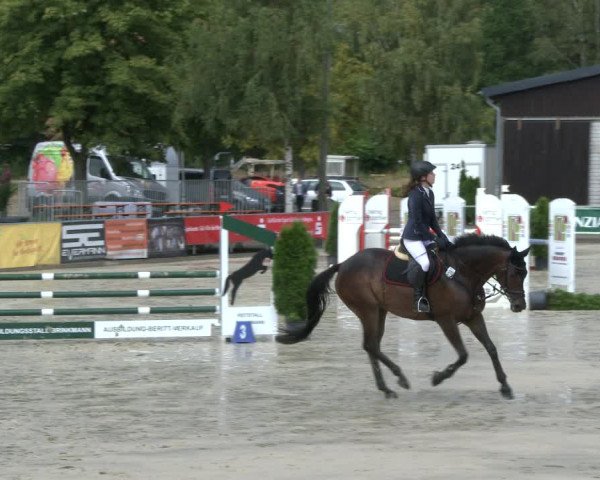 Reitturnier Olfen-Vinnum 2019