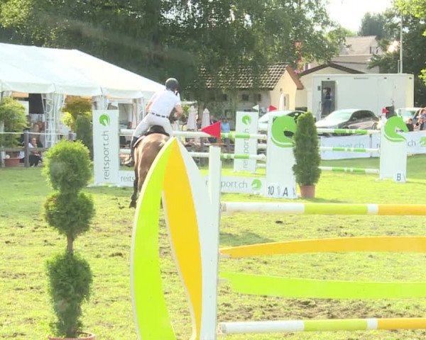 Reitturnier Langenthal 2019