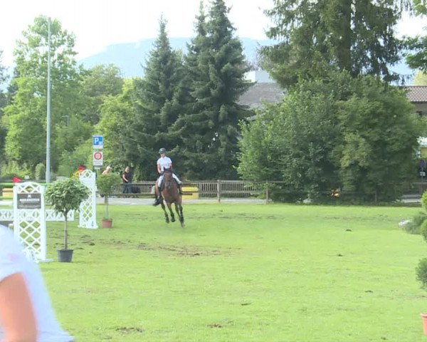 Reitturnier Langenthal 2019