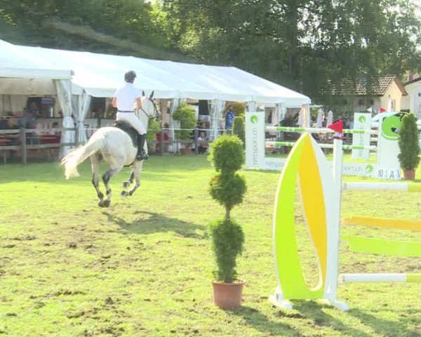Reitturnier Langenthal 2019
