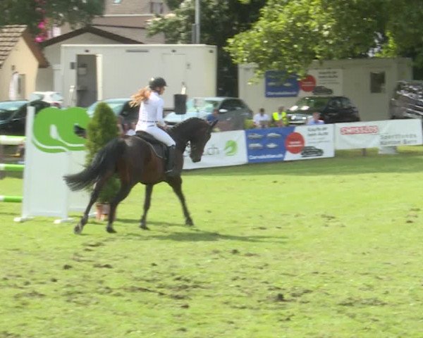 Reitturnier Langenthal 2019