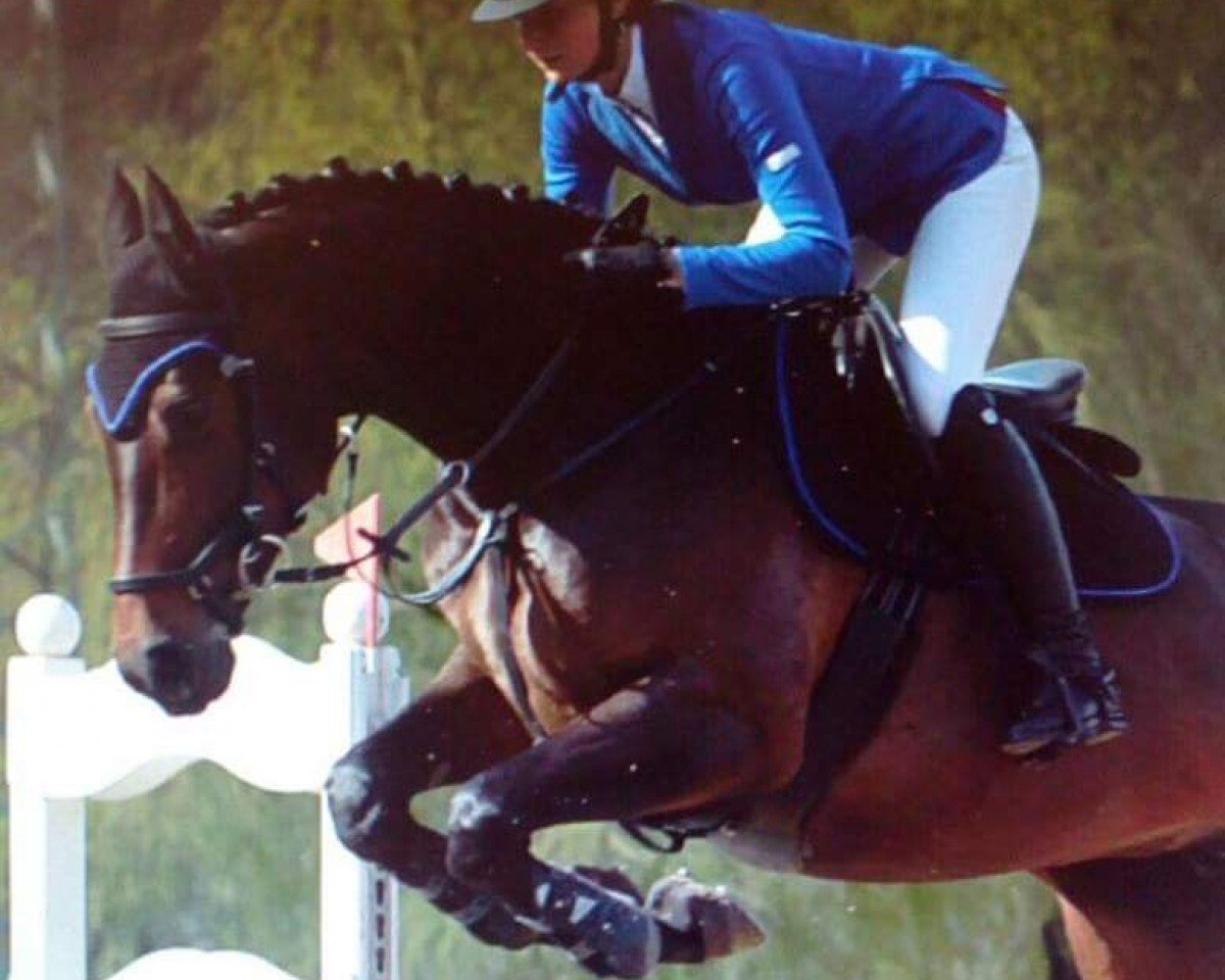 broodmare Skyline77 (Zweibrücken, 2010, from Salento)