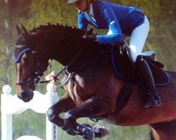 broodmare Skyline77 (Zweibrücken, 2010, from Salento)