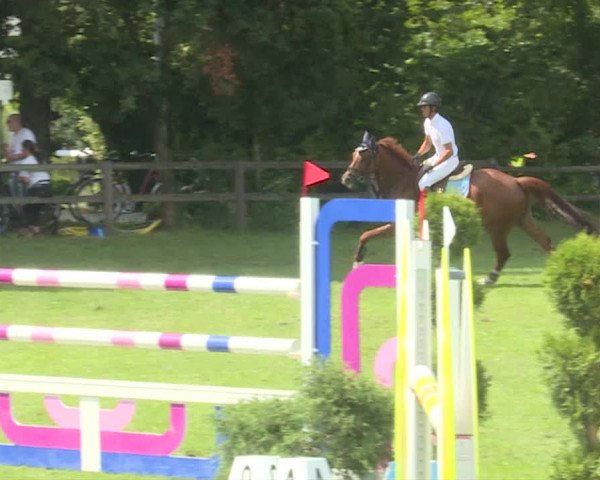 Reitturnier Langenthal 2019
