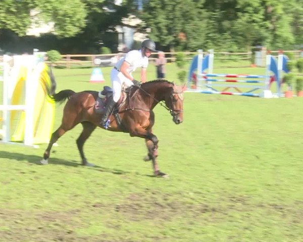 Reitturnier Langenthal 2019