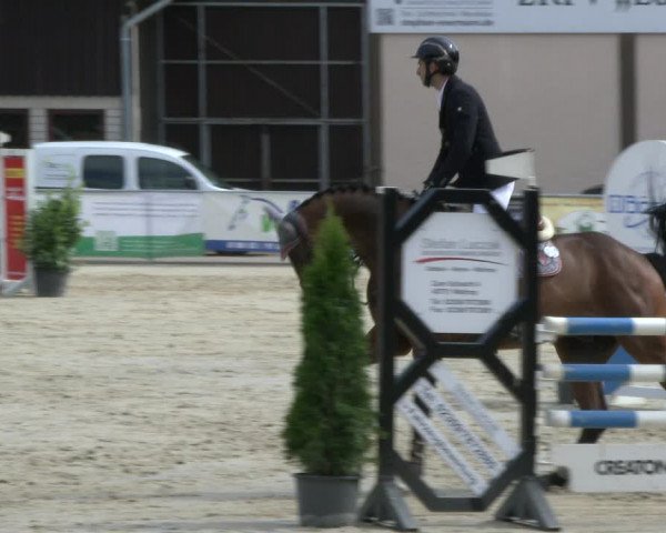 Reitturnier Olfen-Vinnum 2019