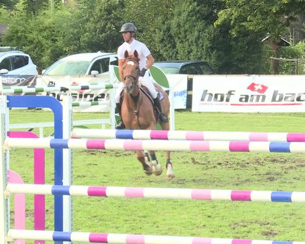 Reitturnier Langenthal 2019