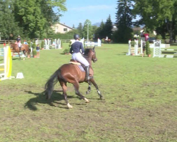 Reitturnier Langenthal 2019