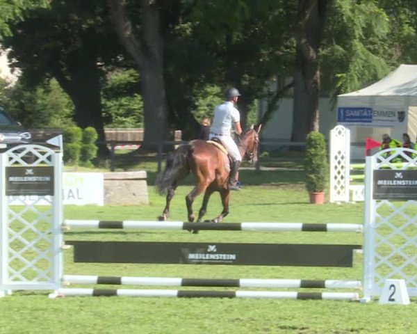 Reitturnier Langenthal 2019