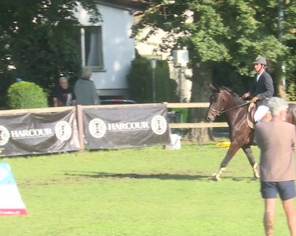 Reitturnier Langenthal 2019