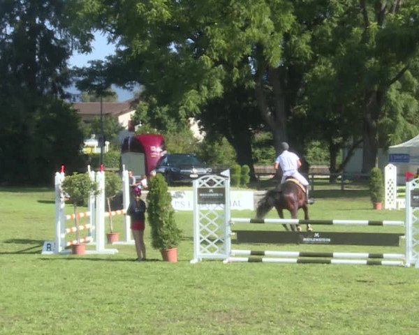 Reitturnier Langenthal 2019