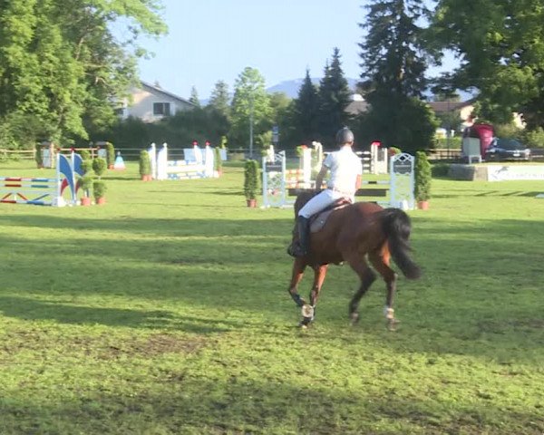 Reitturnier Langenthal 2019