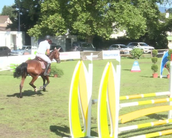 Reitturnier Langenthal 2019