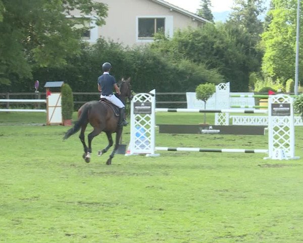 Reitturnier Langenthal 2019