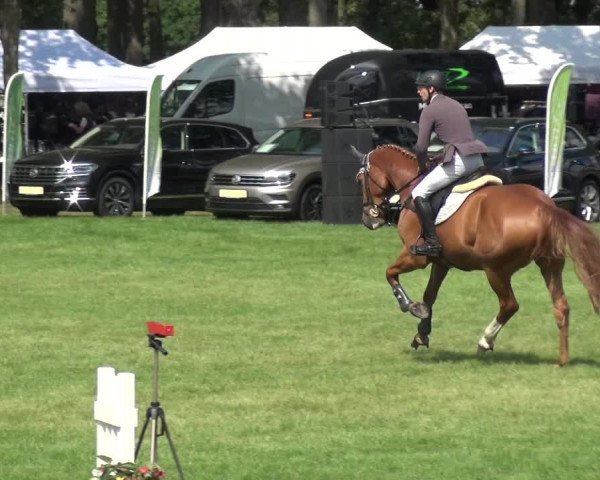 Reitturnier Zobbenitz 2019