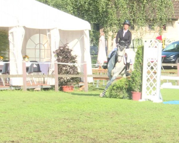 Reitturnier Langenthal 2019