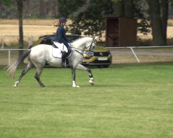 Reitturnier Zobbenitz 2019