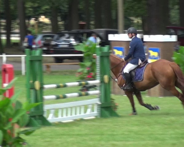 Reitturnier Zobbenitz 2019