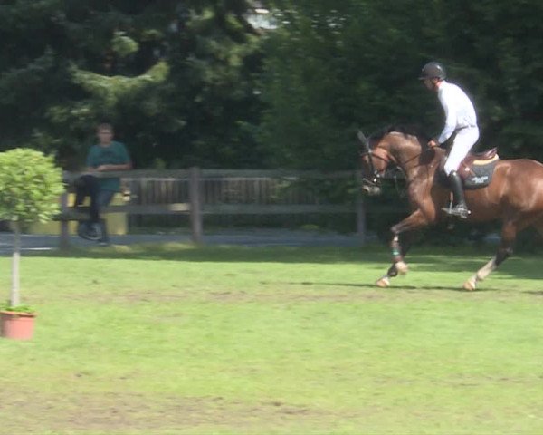 Reitturnier Langenthal 2019