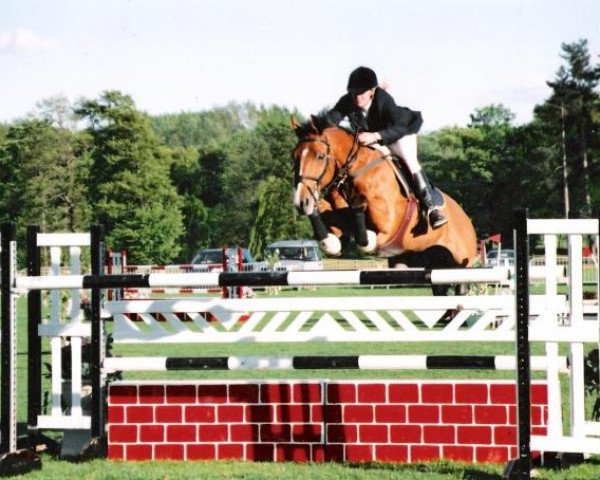 horse Danaos du Mesnil (Selle Français, 1991, from Qredo de Paulstra) horse Danaos du Mesnil (Selle Français, 1991, from Qredo de Paulstra)