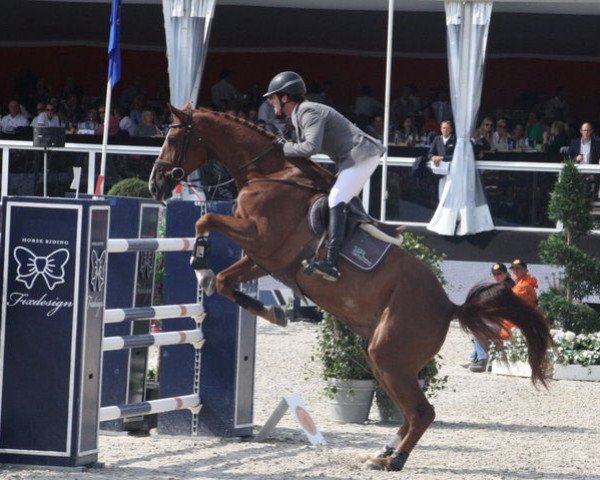 jumper Carinou (Oldenburg, 2005, from Carinue)