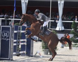 jumper Carinou (Oldenburg, 2005, from Carinue)