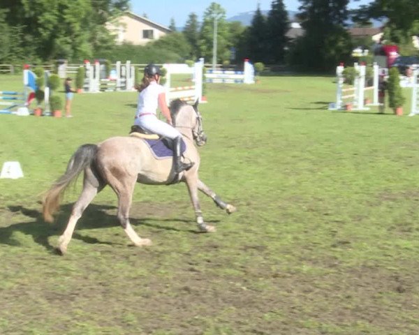 Reitturnier Langenthal 2019