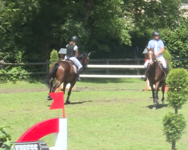 Reitturnier Langenthal 2019