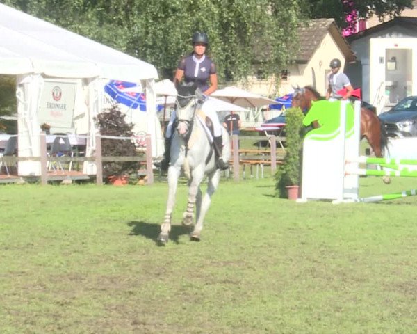 Reitturnier Langenthal 2019