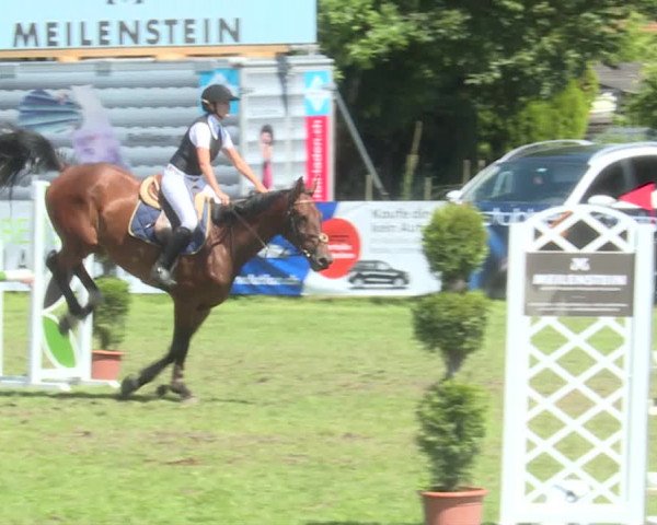 Reitturnier Langenthal 2019
