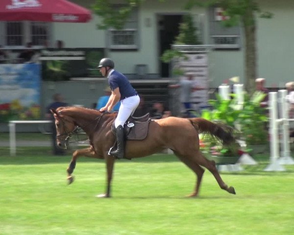 Reitturnier Zobbenitz 2019