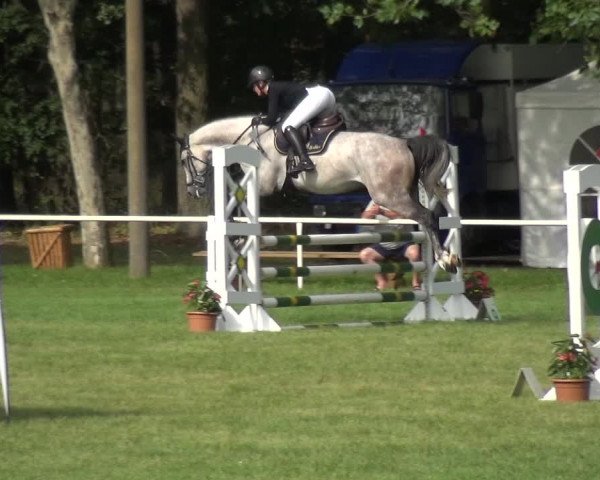 Reitturnier Zobbenitz 2019