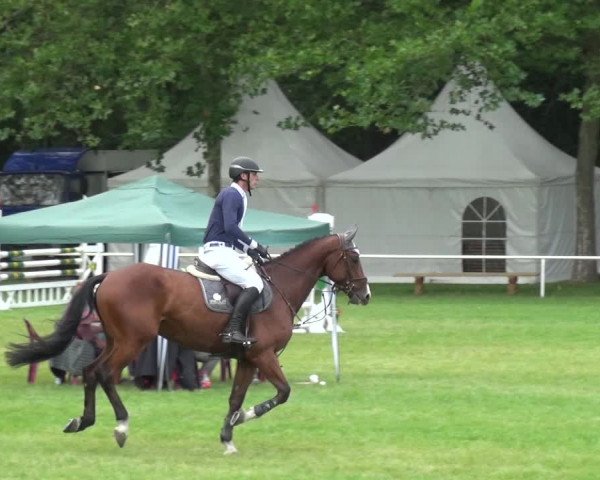 Reitturnier Zobbenitz 2019