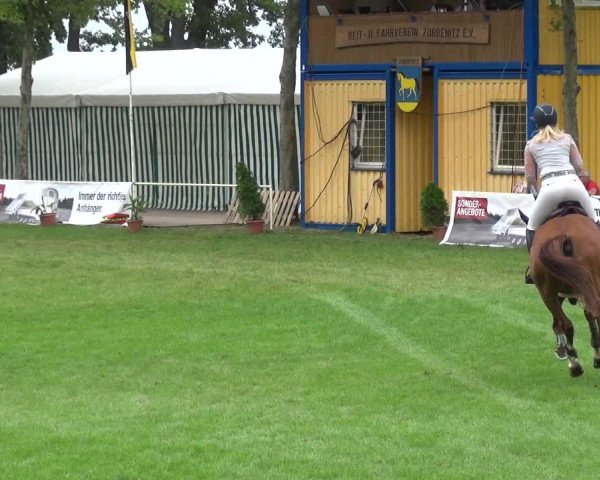 Reitturnier Zobbenitz 2019