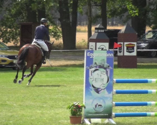 Reitturnier Zobbenitz 2019