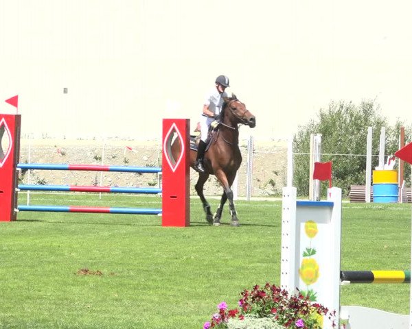 Reitturnier St. Moritz 2019