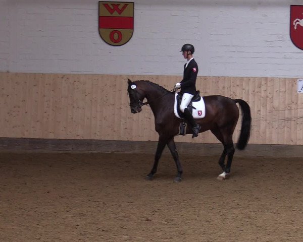 Reitturnier Olfen-Vinnum 2019