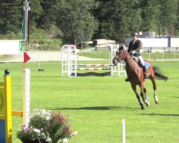 Reitturnier St. Moritz 2019
