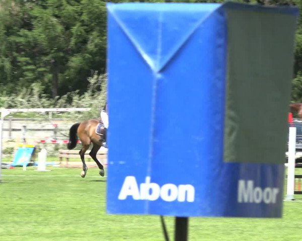 Reitturnier St. Moritz 2019