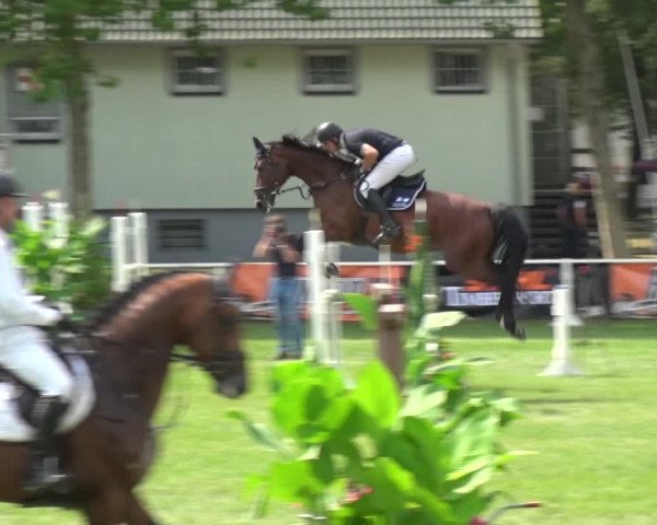 Reitturnier Zobbenitz 2019