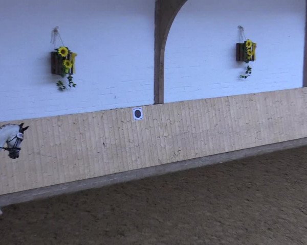 Reitturnier Olfen-Vinnum 2019