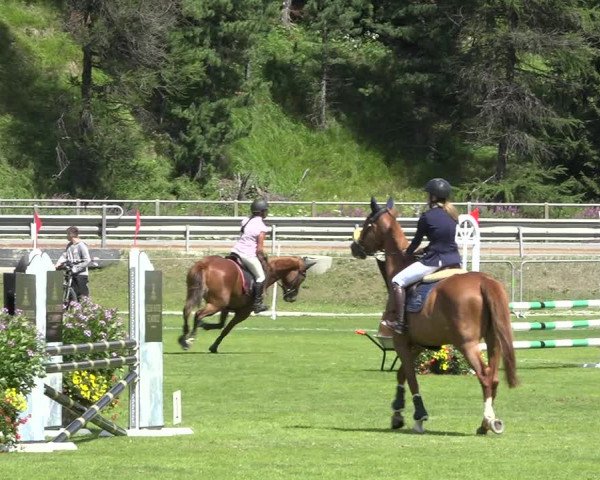 Reitturnier St. Moritz 2019