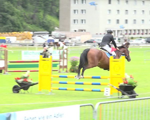 Reitturnier St. Moritz 2019