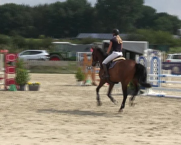 Reitturnier Schülp / Rendsburg 2019