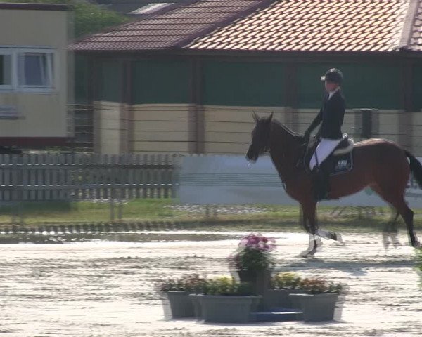 Reitturnier Schülp / Rendsburg 2019